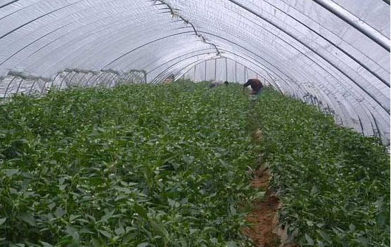 1688714303208337.png 圖片10.png